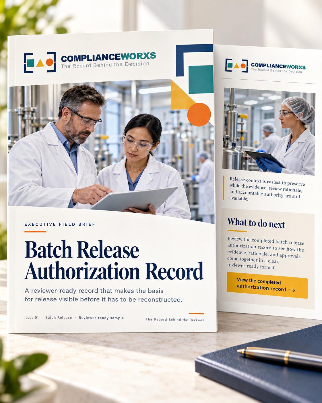 Preview of the Batch Release Authorization Record